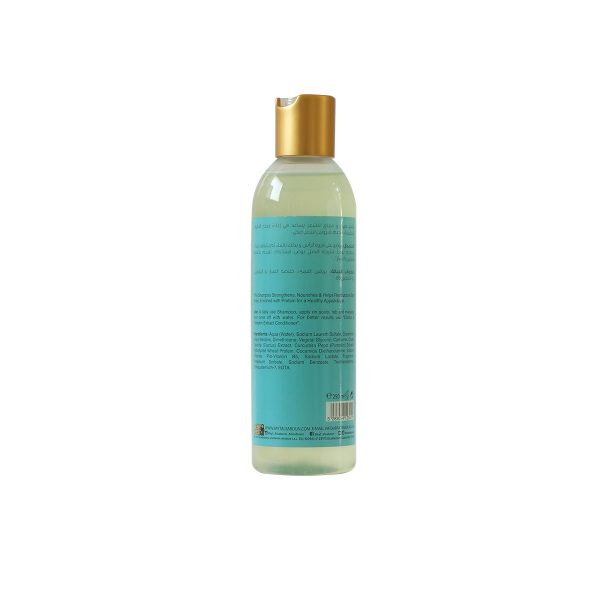 Shampoo Cactus & Pumpkin
