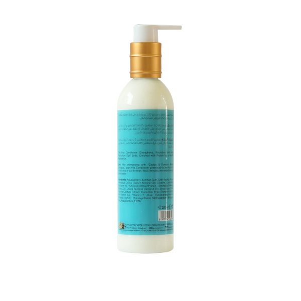 Conditioner Cactus & Pumpkin